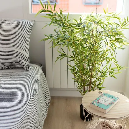Appartement T2 Avec Parking Gratuit - Proximite Gare à Toulouse Extérieur photo